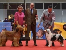 xposcion-canina-Nacional-e-Internacional-de-Torrepacheco-2023-19